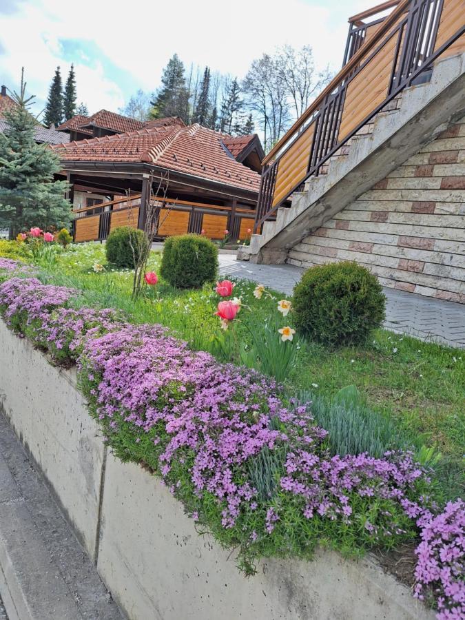 Apartments Monte Vista Златибор Экстерьер фото
